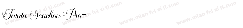 Iwata Souchou Pro字体转换